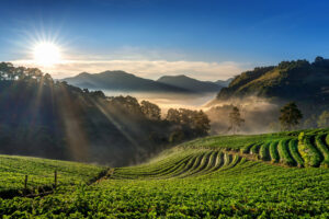Munnar