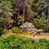 Chinnar Wildlife Sanctuary