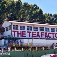 Chocolate Factory