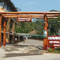 Eravikulam National Park