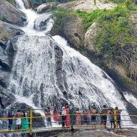 Monkey Falls