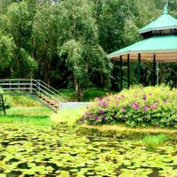 blossom-international-park-munnar-tourism-entry-fee-timings-holidays-reviews-header