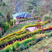 blossompark1