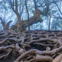 guna-caves-kodai-weekend-yaari