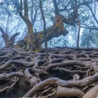 guna-caves-kodai-weekend-yaari